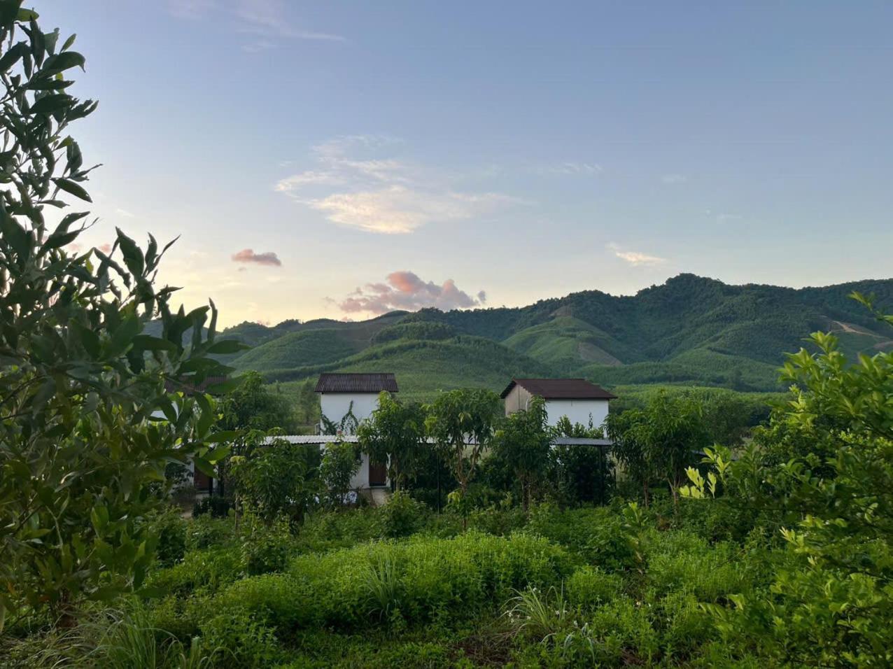 Nguyen Shack Retreat Resort Phong Nha Exterior photo